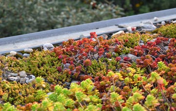 the cost of Sandy Down green roof installation
