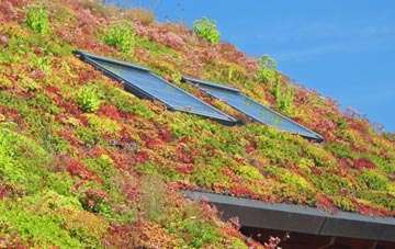 Sandy Down living roof systems