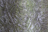 Sandy Down fibreglass roof work